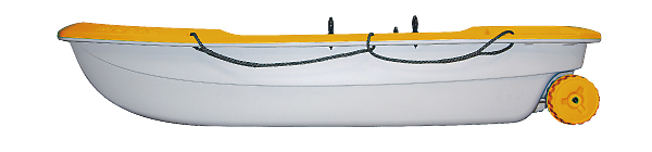 BIC245