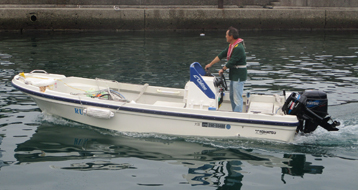 bic245
